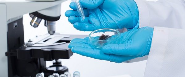 Laboratórios: 6 pontos para se atentar sobre a coleta do exame toxicológico
